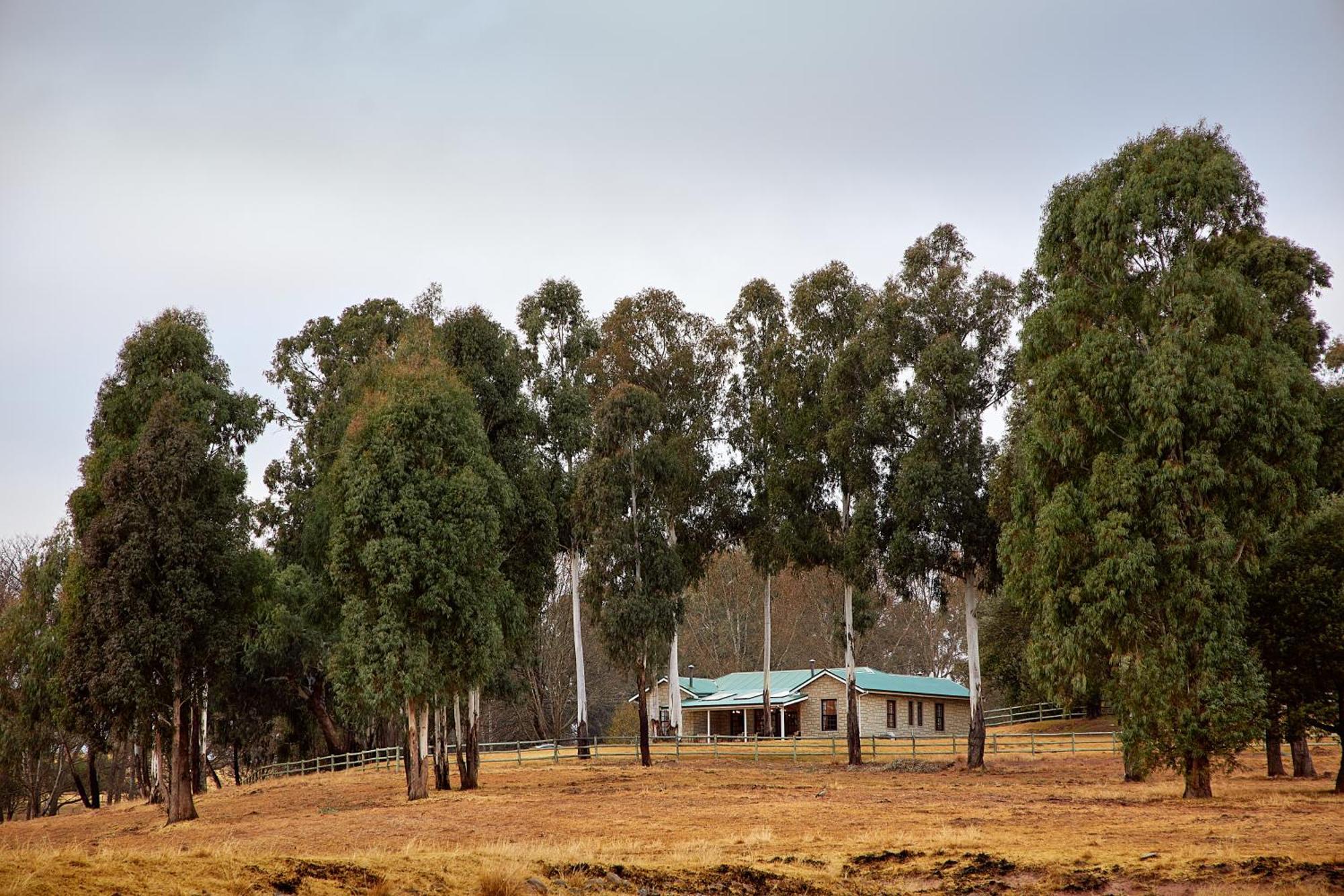 First Group Bushman'S Nek Hotel Garden Castle Exterior photo
